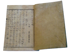 A 19th Century Illustrated Book: Commentaries on Health