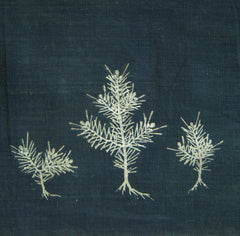 A Long Stitched Fragment of Stencil Dyed Cotton: Young Pines