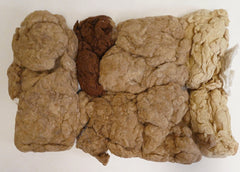 A Collection of Gradient Ginned Chawata: Naturally Brown Cotton