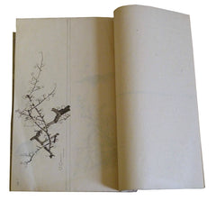 A 19th Century Book of Hand Painted Illustrations: Birds, Landscapes, People