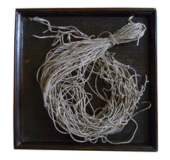 A Switch of Twisted Paper Twine: Many Strands
