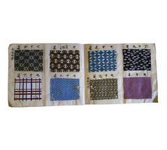 A Dyer's Sample Book: Beautifully Rendered Patterns