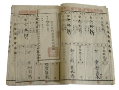 A Meiji Era Daifukucho: Worm Holes